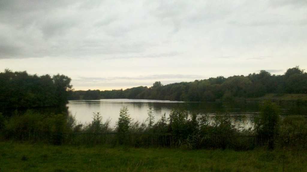 2011-09-20_18-05-13_595